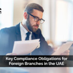 Professional License in Dubai: What It Is and Who Should Apply